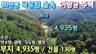 80만평 국유림속 단독계곡 독립적인  한골짜기사용 양평전원주택 연수원매매 / 부지 4,935평 건물 130평 매매 27억  기도원 별장 양평부동산 토지급매물  [매번-19150]