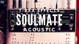 The ultimate Acoustic Guitar Pedal? T-Rex Effects SOULMATE Acoustic