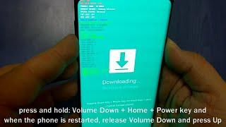 Hard Reset Samsung S9+, bypass screen lock , restore defaults