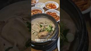 3월30일 눈 오는 날 경복궁역 토속촌 삼계탕에서 몸 보신 #맛집 #토속촌삼계탕 #서울투어맛집