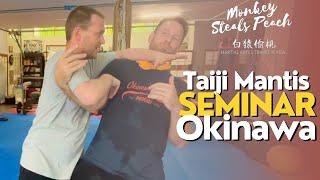Intro to Taiji Mantis seminar - Asato Dojo, Okinawa
