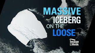 Massive Iceberg on the Loose (Image of the Week)