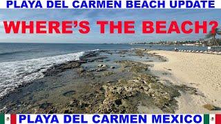 PLAYA  DEL CARMEN MEXICO BEACH AND SEAWEED UPDATE - WHERE'S THE BEACH - NOTICEABLE EROSION