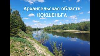 Последнее видео.  Уходим в рабочий отпуск.  Жизнь в деревне Кокшеньга.