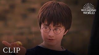 A Lesson In Quidditch | Harry Potter and the Philosopher's Stone