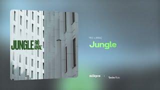 RIO × AMAL' — JUNGLE