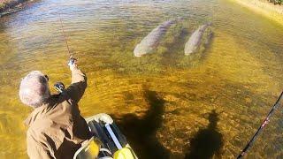 INSANE FARM POND is LOADED WITH MONSTERS!!!