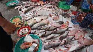 Amazing Street Food at Phsa Boeng Trabek - Walking Tour Around Boeng Trabek Market in The Morning