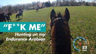 Out of control galloping on a fox hunt | GoPro | Arabian