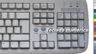 Computacion Basica De Cero Video
