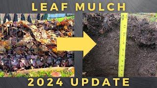 5 years of leaf mulch......