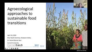 "Agroecological Approaches to Sustainable Food Transitions" by Rachel Bezner Kerr