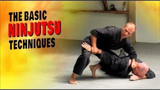 The Ninjutsu Basic Techniques