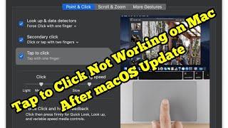 Tap to click Not Working on Mac After macOS Sequoia/Sonoma Update (Fixed)