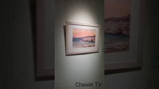 CKS art exhibit #shorts #chiangkaishekmemorialhall #painting #artwork #art #taiwan