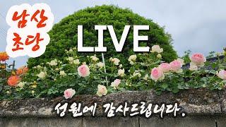 초서강좌-LIVE.