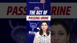 Micturition process of urine in Hindi | NEET Concept #neet2024 #neet2025 #neetbiology