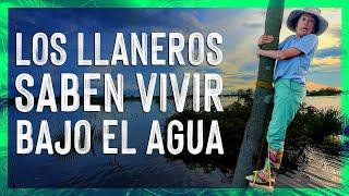 What are Venezuelan llaneros like? ‍ GUÁRICO and APURE  VALEN DE VIAJE