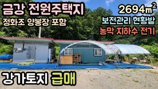 (매물번호13793) 옥천부동산 2694㎡(815) 옥천땅 옥천토지매매매물 시골땅 촌땅 강가토지 산속 싼땅 농막 집터 전원주택지 대전토지 청주땅 대전땅 보은부동산 1억1천만원