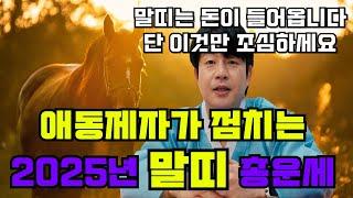 2025년 을사년 말띠 띠별 총운세! 전체적으로 금전수가 좋습니다 다만 이것만 조심하세요