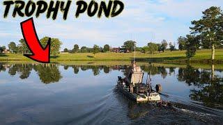 Managing A Trophy Bass Lake Part 2 BASS Removal