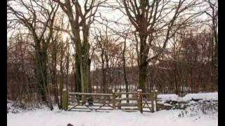 Reddish Vale Country Park Winter