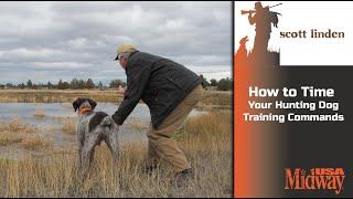 How to Time Your Hunting Dog Commands | Scott Linden