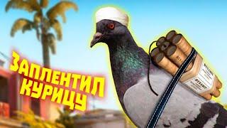 Лютые приколы в играх | WDF 270 | СТРАННЫЕ ПТИЦЫ