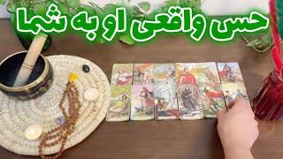 فال تاروت لئون - حس واقعی او به شما