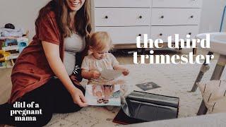 Officially In The THIRD Trimester! | What's Been Going On (DITL)