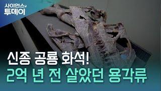 뾰족한 이빨에 육중한 머리뼈…신종 공룡 공개! / YTN 사이언스