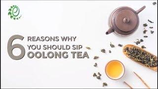 6 Reasons Why You Should Sip Oolong Tea | Organic Facts