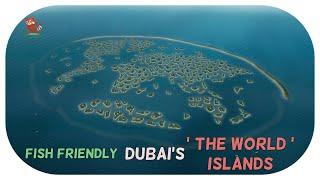 New eco friendly tourism in Dubai's 'THE WORLD' islands