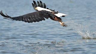 Lake Naivasha, Kenya