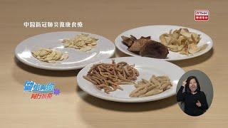 《醫生與你》同行抗疫：中醫新冠肺炎復康食療