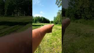 Идеальное утро в деревне #деревня #домвдеревне 