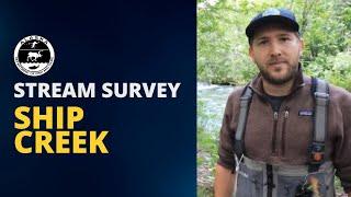 Counting Salmon in the heart of Anchorage - Ship Creek Stream Survey