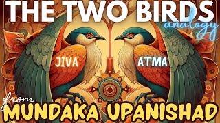 Understanding Vedanta: The Profound Two Birds Analogy