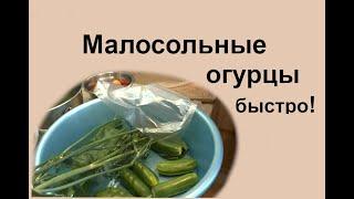 Как быстро сделать малосольные огурцы своими руками!