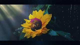 Rob Cave Reel