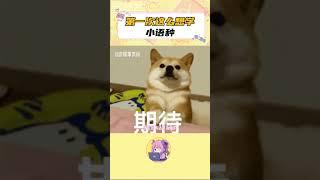 這才是我真正想學的小語種！我將逐幀學習直到跟咪流暢對話 #貓語十級 #貓貓 #小語種 #萬萬沒想到