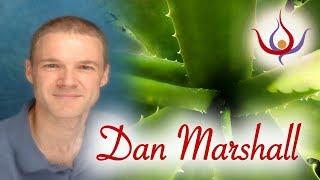 Dan Marshall - Health from Aloe