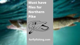 Northern Pike flies you need for fly fishing