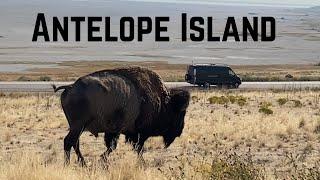 TOP 5 to DO & SEE in ANTELOPE ISLAND | Salt Lake City | The Great Salt Lake | UtAh Parks