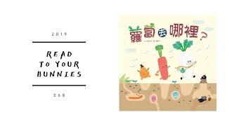 Read to your bunnies 068｜蘿蔔去哪裡