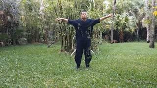 Tai Chi Lesson #1 Relax without using Muscles 課程一：放鬆（不使力）by Master Chung Wang