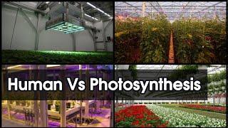 Impact of human activities on photosynthesis || Human Vs  Photosynthesis