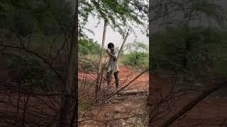 Desi vlog …#vairalvideo #vairalshort #video #vlog #desi #shorts #short