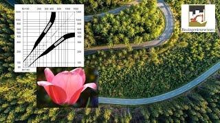 Grundlagen der Relationstrassierung | Die Relationstulpe