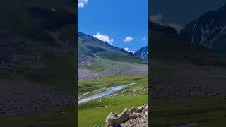 Burzil Pass Pakistan #nature #gilgitbaltistan #travel #pakistan #discoverpakistan #mountain #astor